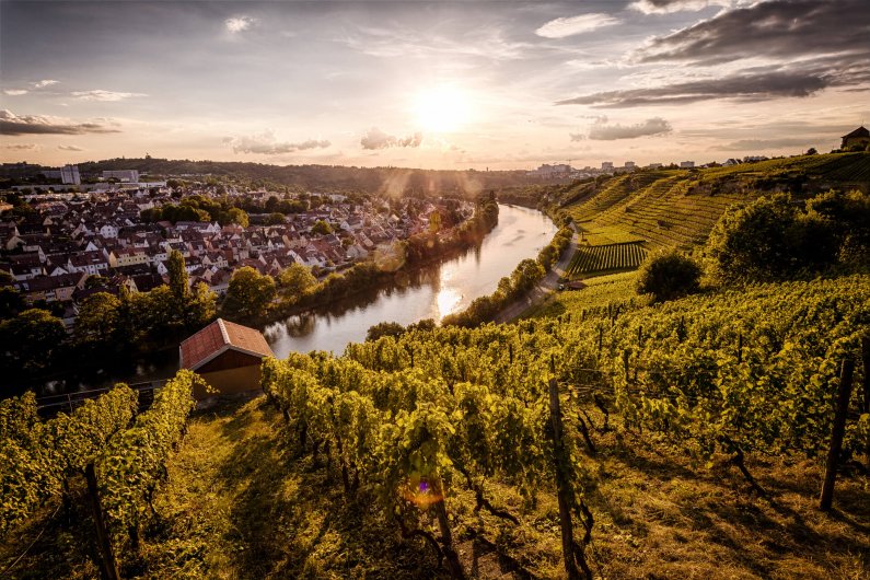 Strma pobočja Stuttgarta ob reki Neckar s čudovitim razgledom © gettyimages Cyril Gosselin