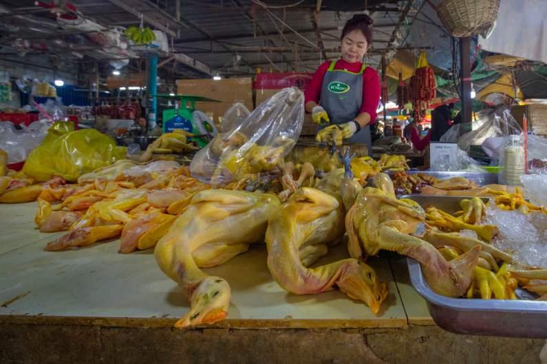 Battanbang15
