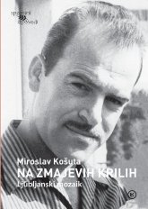 Na zmajevih krilih, Ljubljanski mozaik